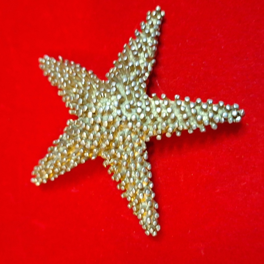 Vintage Gold StarFish Brutalist Large Brooch 3 in. - Picture 4 of 8